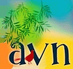 avn2
